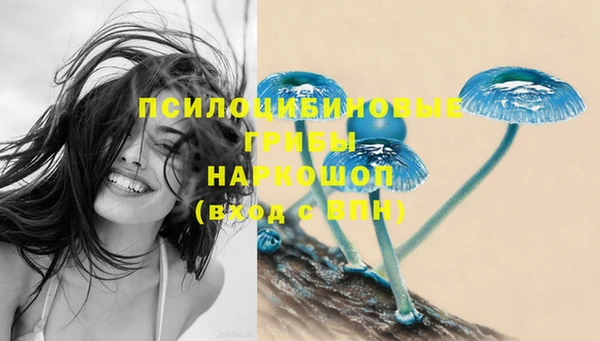 трава Нея